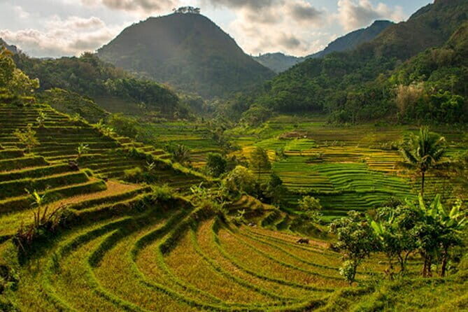 Borobudur Climb Up and Selogriyo Temple Rice Terraces Trekking - Guides make the difference: Arma, Didik, Dani, Maxi