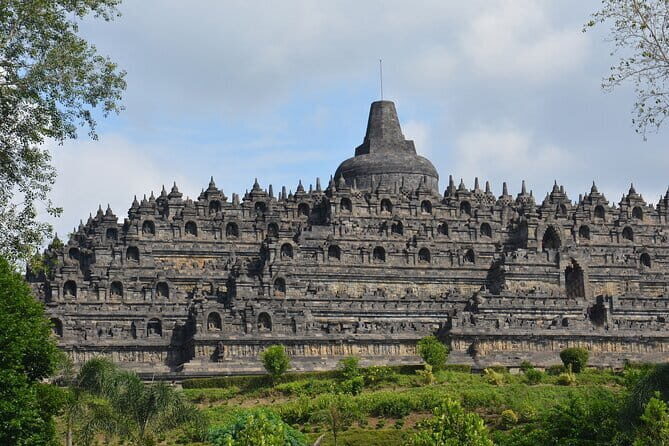 Borobudur Full Climb Up Access and Selogriyo Rice Terrace Tour - What the Guide and Driver Actually Do (Besides Herding)