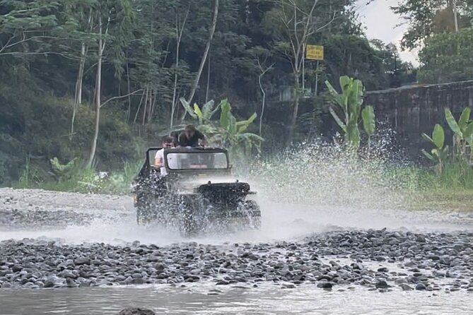 Borobudur,Prambanan and Merapi Volcano Tour . - Who this tour is best for (and who might want a different plan)