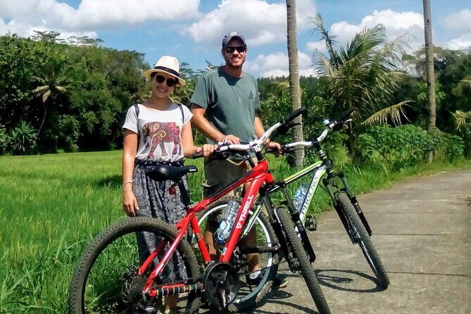 Cycling Tour in Yogyakarta with Lunch 3-Hour - A gentle bike day that actually feels local near Yogyakarta