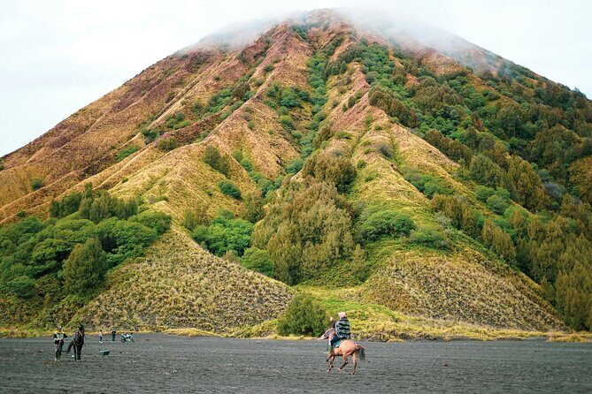 From Yogyakarta to Bali : Bromo and Kawah Ijen in 3 Day Adventure - Quick highlights before you commit