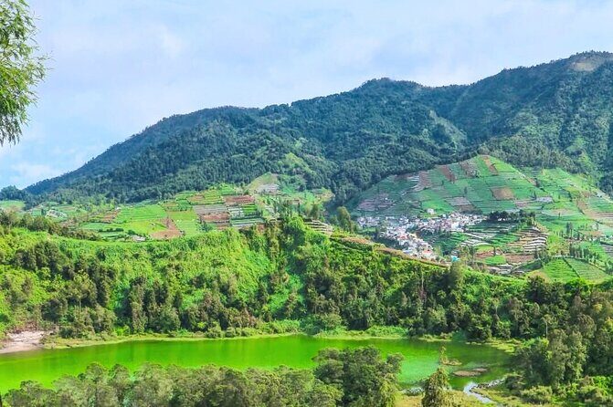 Full-Day Adventure: Tea Plantation & the Mystical Dieng Plateau - Tea Gardens + Dieng Plateau: a Yogyakarta day trip that actually changes gears