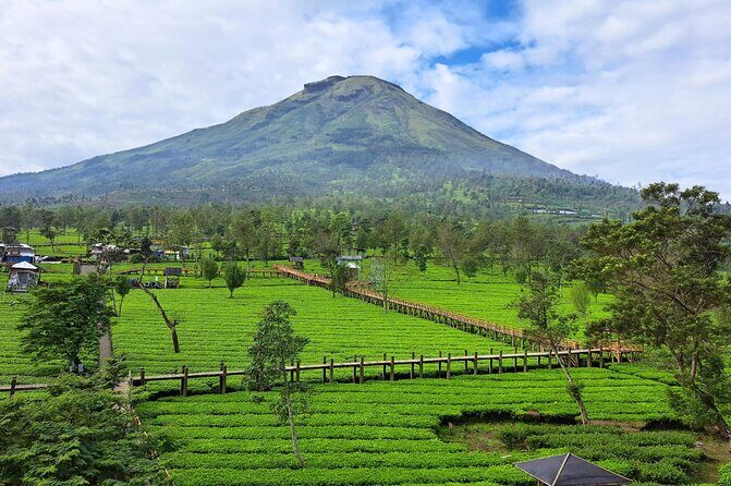 Full-Day Adventure: Tea Plantation & the Mystical Dieng Plateau - Who should book this day trip (and who should skip it)