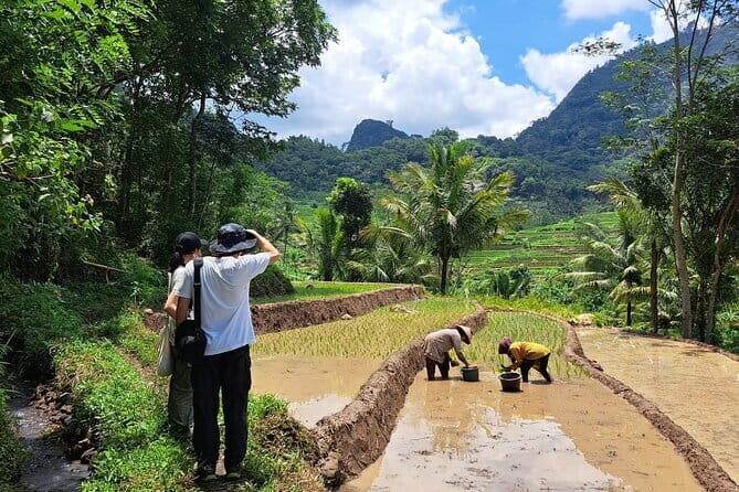 Hidden Waterfall & Selogriyo Rice Terraces Trek from Yogyakarta - Price and What $45 Really Buys You
