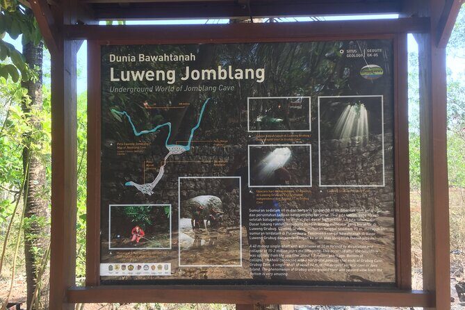 Kediwung Sunrise, Jomblang Cave, Timang Gondola Beach Day Tour - Sunrise at Bukit Panguk Kediwung (1.5 Hours)