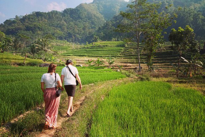 Rent car with speaking English driver in Yogyakarta - A Realistic Sample Day: Borobudur Plus Lunch and Coffee