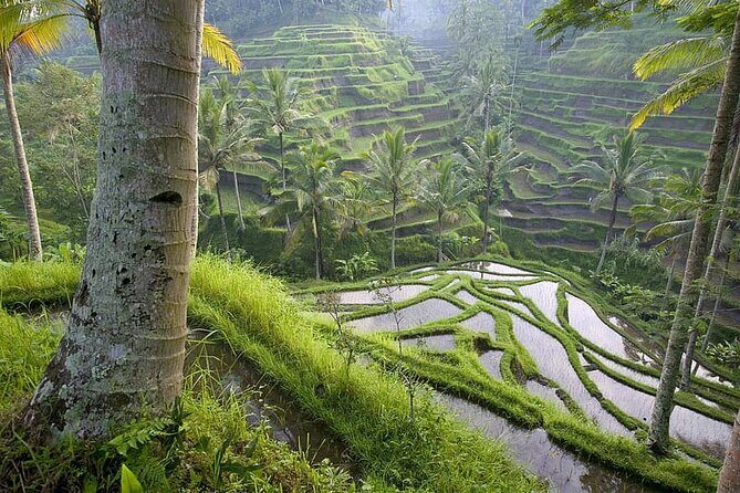 Selogriyo Temple and Trekking Java Rice Terraces, hidden waterfall -Nature Java - Getting the shot at Kedung Kayang: waterfall plus Mt Merapi
