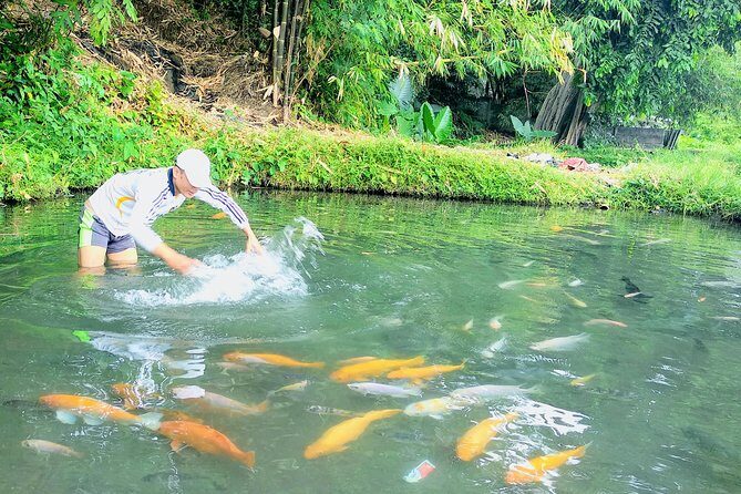 Yogyakarta Cycling Tour Around the Villages and Fish Farm - Price and What It Covers: Transfers, Food, and Safety Gear