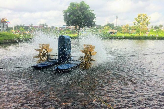 Yogyakarta Cycling Tour Around the Villages and Fish Farm - Who Should Book This Private Tour