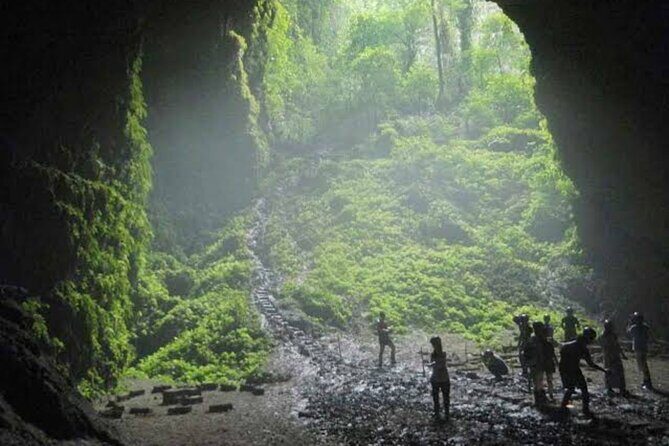 Yogyakarta: Jomblang Cave Adventure with FREE LIVE DRONE SHOOT - The Real Star: Jomblang’s Sunlight From Heaven