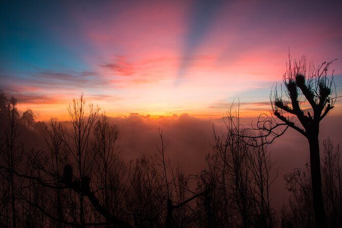 Yogyakarta to Bali 3 Days Bromo And Ijen ALL IN PRIVATE Tour - Day 2: Bromo sunrise, dramatic views, and a jeep 4x4 ride